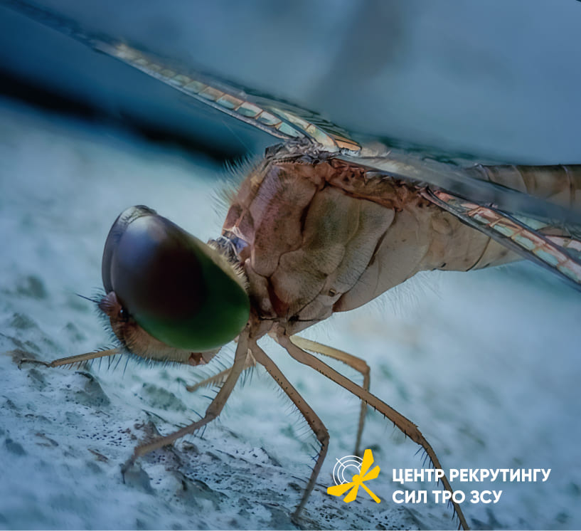 Бабка як символ БПЛА_6