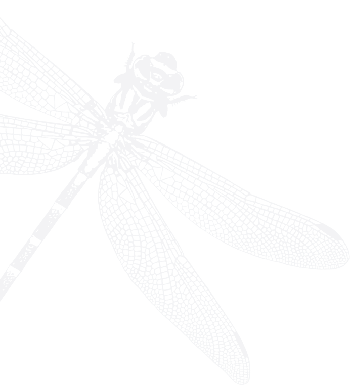 Бабка як символ БПЛА прозора картинка