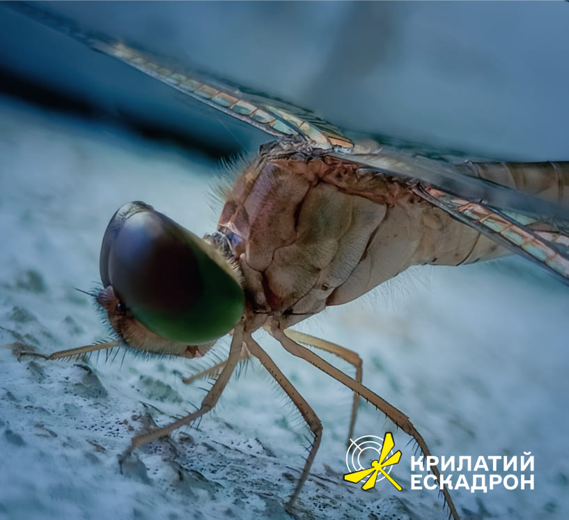 Бабка як символ БПЛА_6