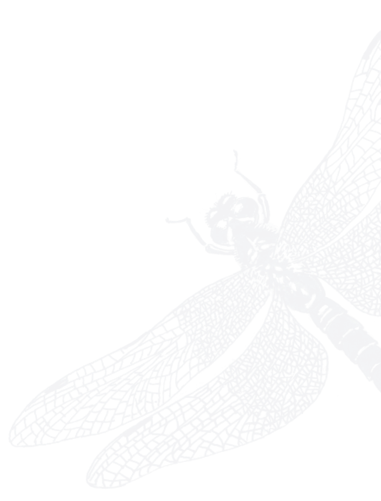 Бабка як символ БПЛА прозора велика картинка