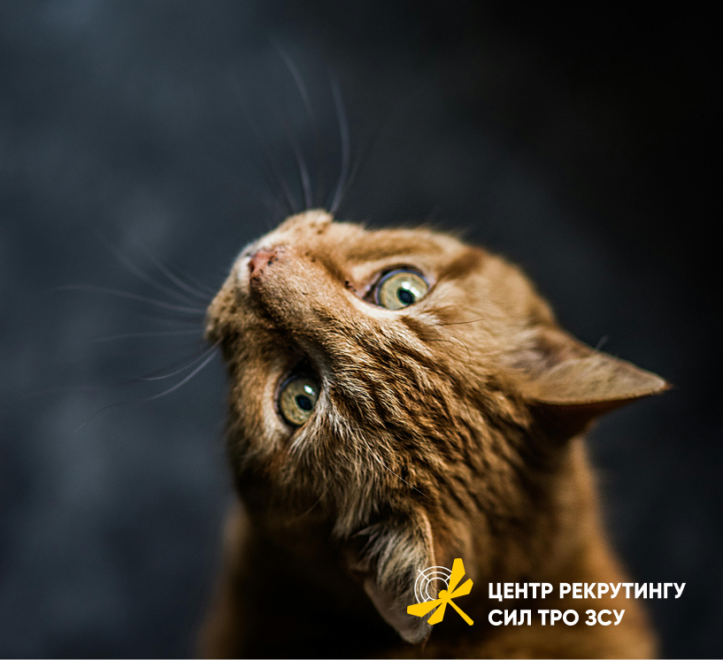 ЗАХИСТИ СВОЮ ТЕРИТОРІЮ